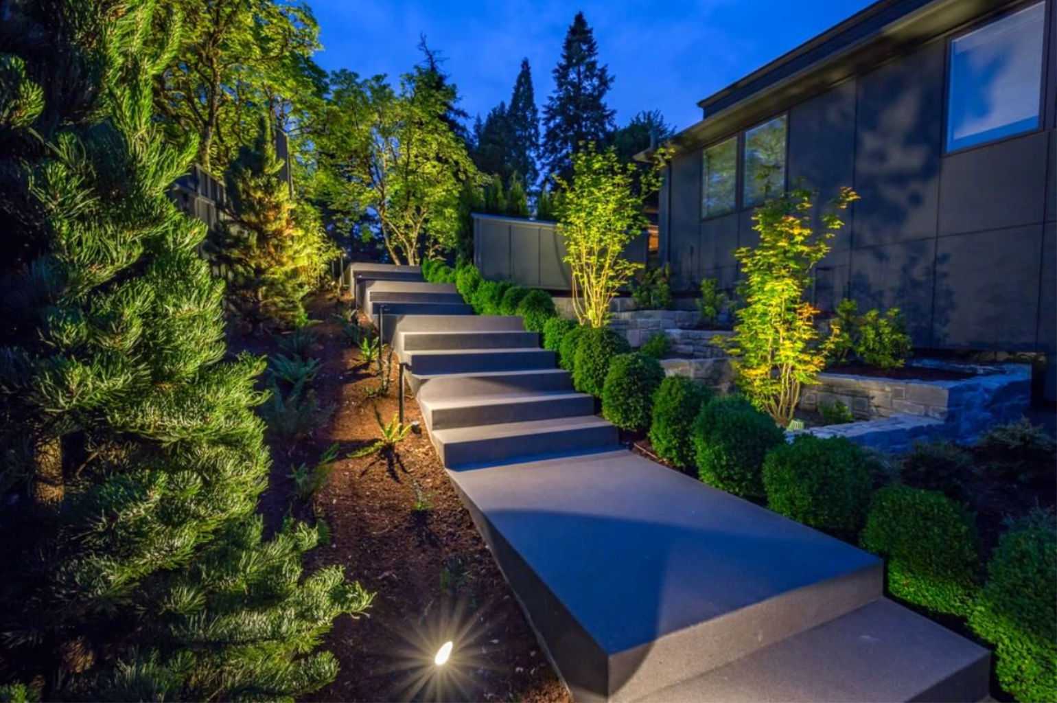 Professional landscape lighting along a modern walkway