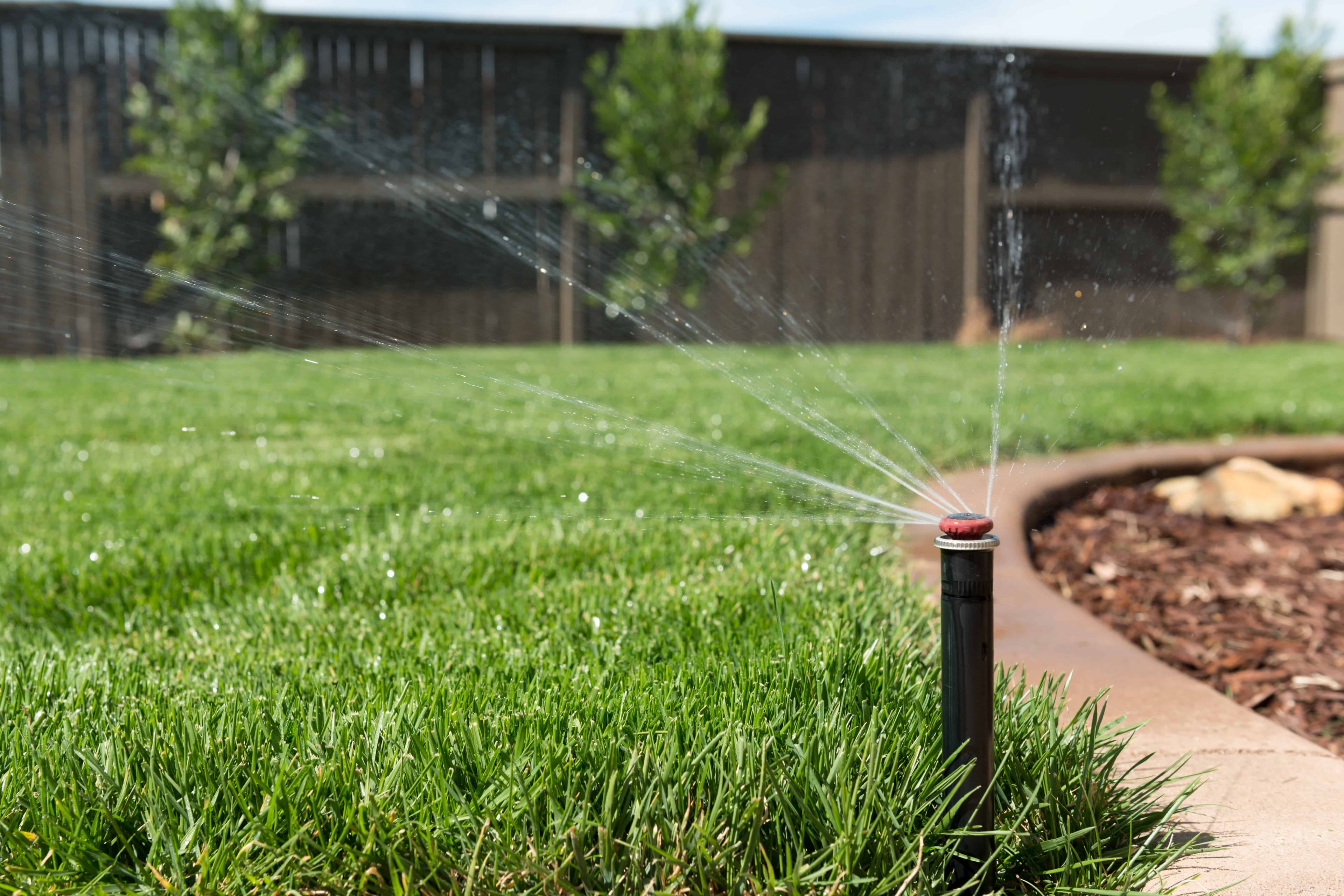 Pop-up sprinkler watering a manicured lawn
